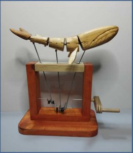 Ballena Jorobada unidad